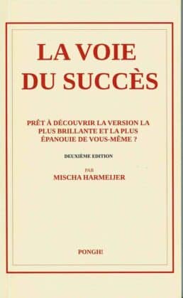 Cover of Misha Harmeijer's book The Road to Success